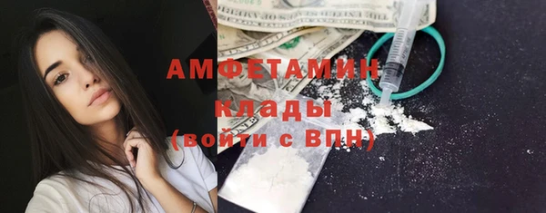 трава Арсеньев
