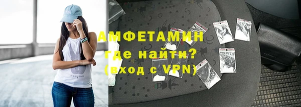 хмурый Аркадак
