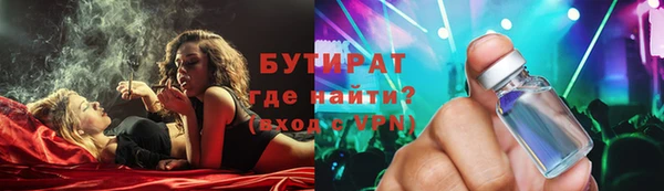 хмурый Аркадак