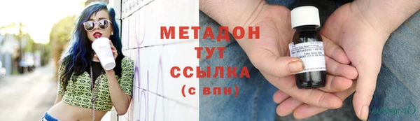 хмурый Аркадак