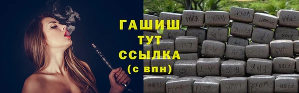 хмурый Аркадак