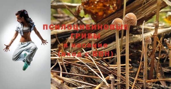 гидропоника Баксан