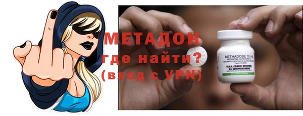 хмурый Аркадак