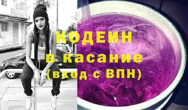 хмурый Аркадак