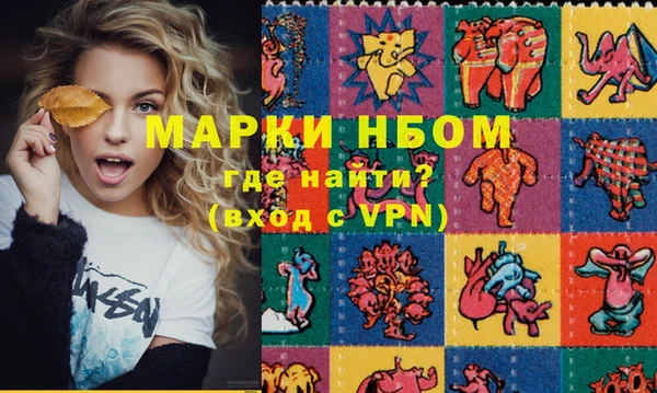 хмурый Аркадак
