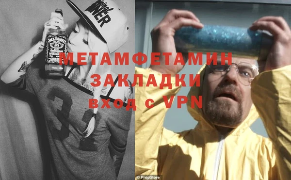 хмурый Аркадак
