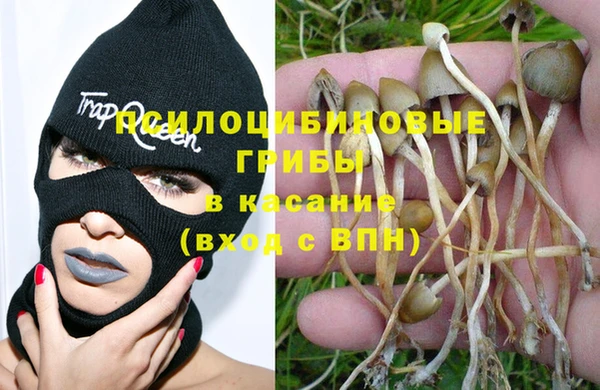 трава Арсеньев