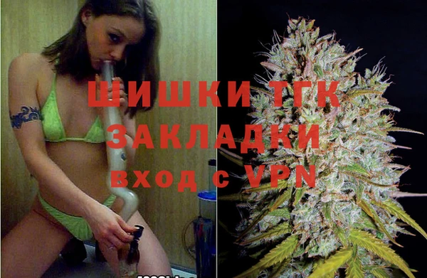 трава Арсеньев