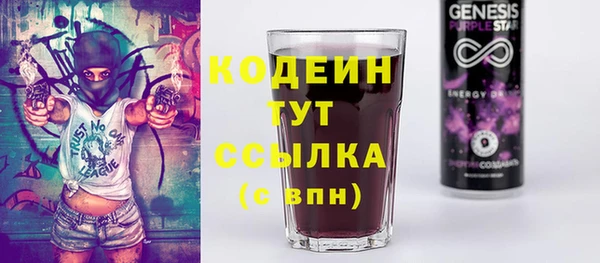 хмурый Аркадак