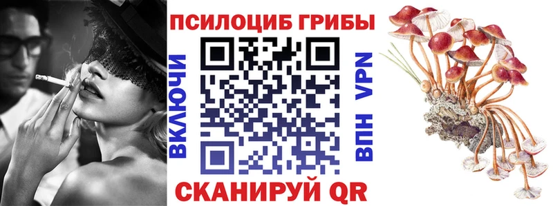 Галлюциногенные грибы ЛСД Богданович
